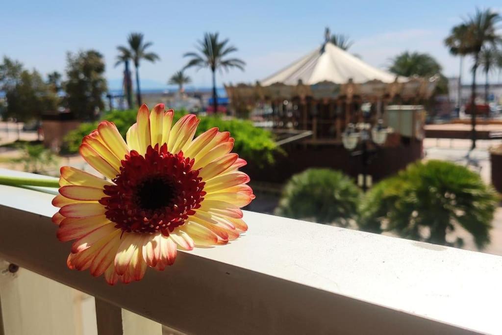 Apartamento Paraiso פואנגירולה מראה חיצוני תמונה
